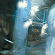 Illustration for article titled The Art Of emAlien: Isolation/em